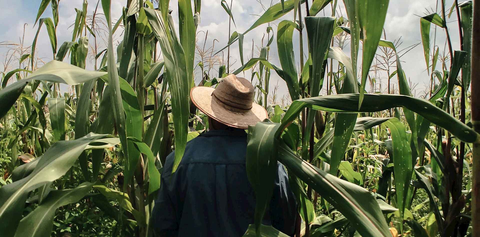 Dp World Smart Trade Logistics Parks Economic Zones Dp World Smart Trade Logistics Parks Economic Zones