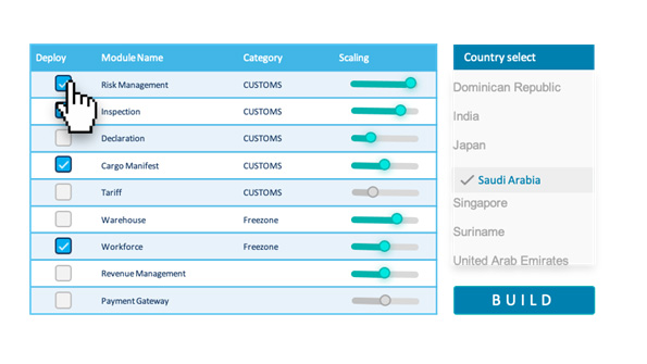 Cargoes Customs DP World