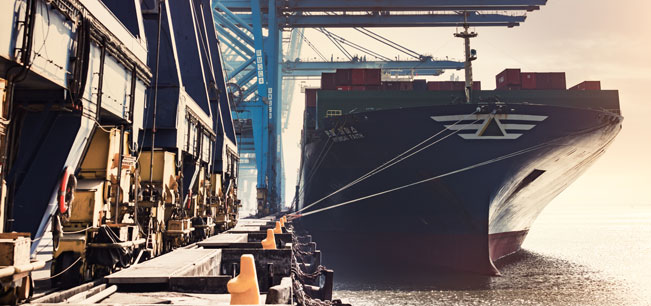 Board Committees DP World