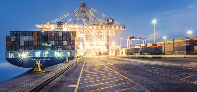 Board Committees DP World