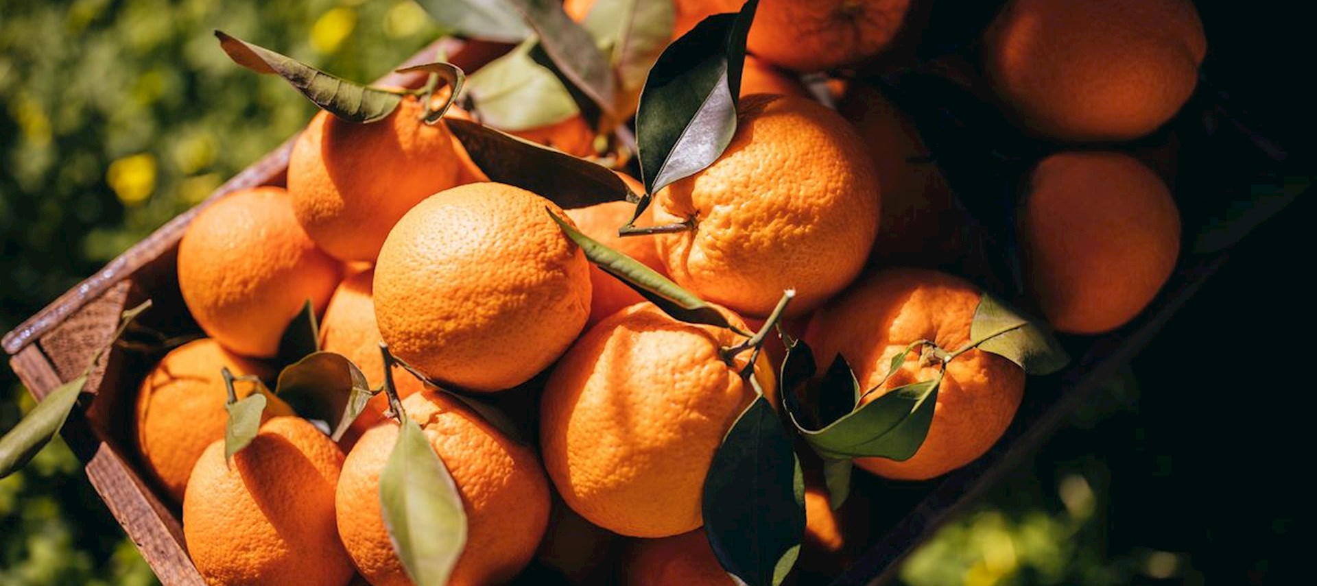 DP World | Smart Trade & Logistics | Parks & Economic Zones | Ports DP World | Smart Trade & Logistics | Parks & Economic Zones | Ports