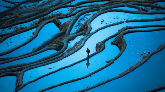 Climate Change DP World