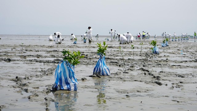 Climate Change DP World