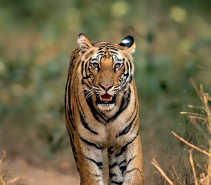 Sustainability Reporting DP World