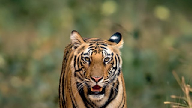 Sustainability Reporting DP World