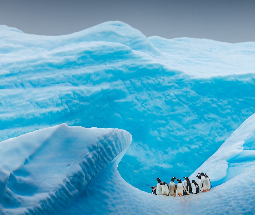 Sustainability DP World