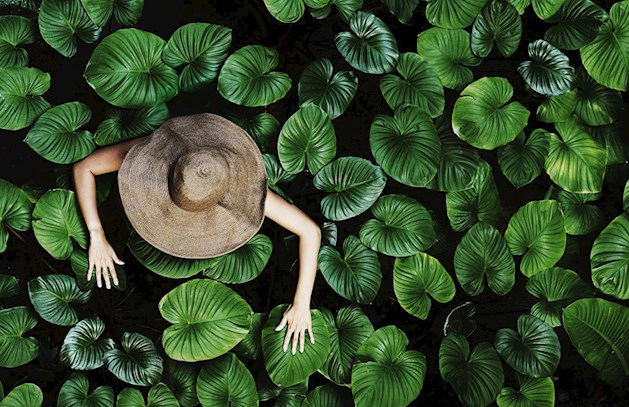 Sustainability DP World