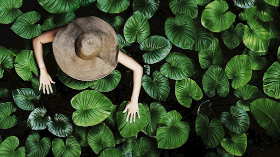 Sustainability DP World