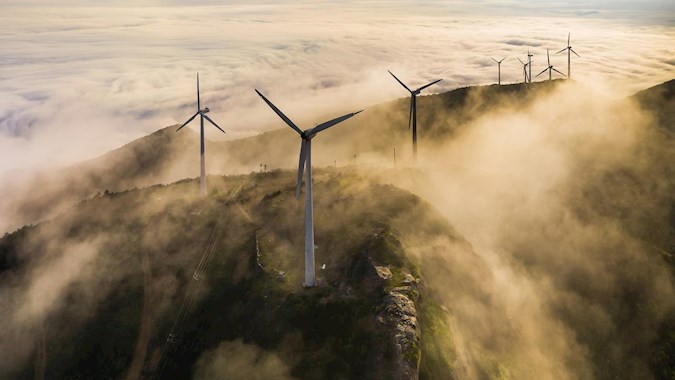 Commitment to Sustainability