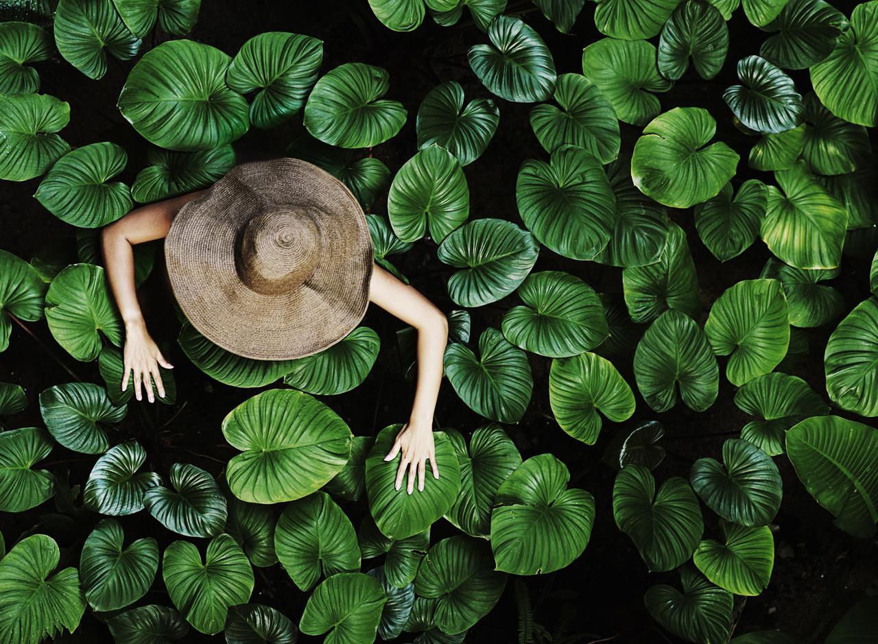 Sustainability our strategy 2