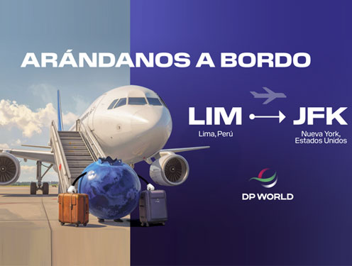 Arándanos peruanos vuelan con DP World Logistics rumbo a Nueva  York