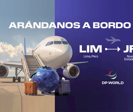 Arándanos peruanos vuelan con DP World Logistics rumbo a Nueva York