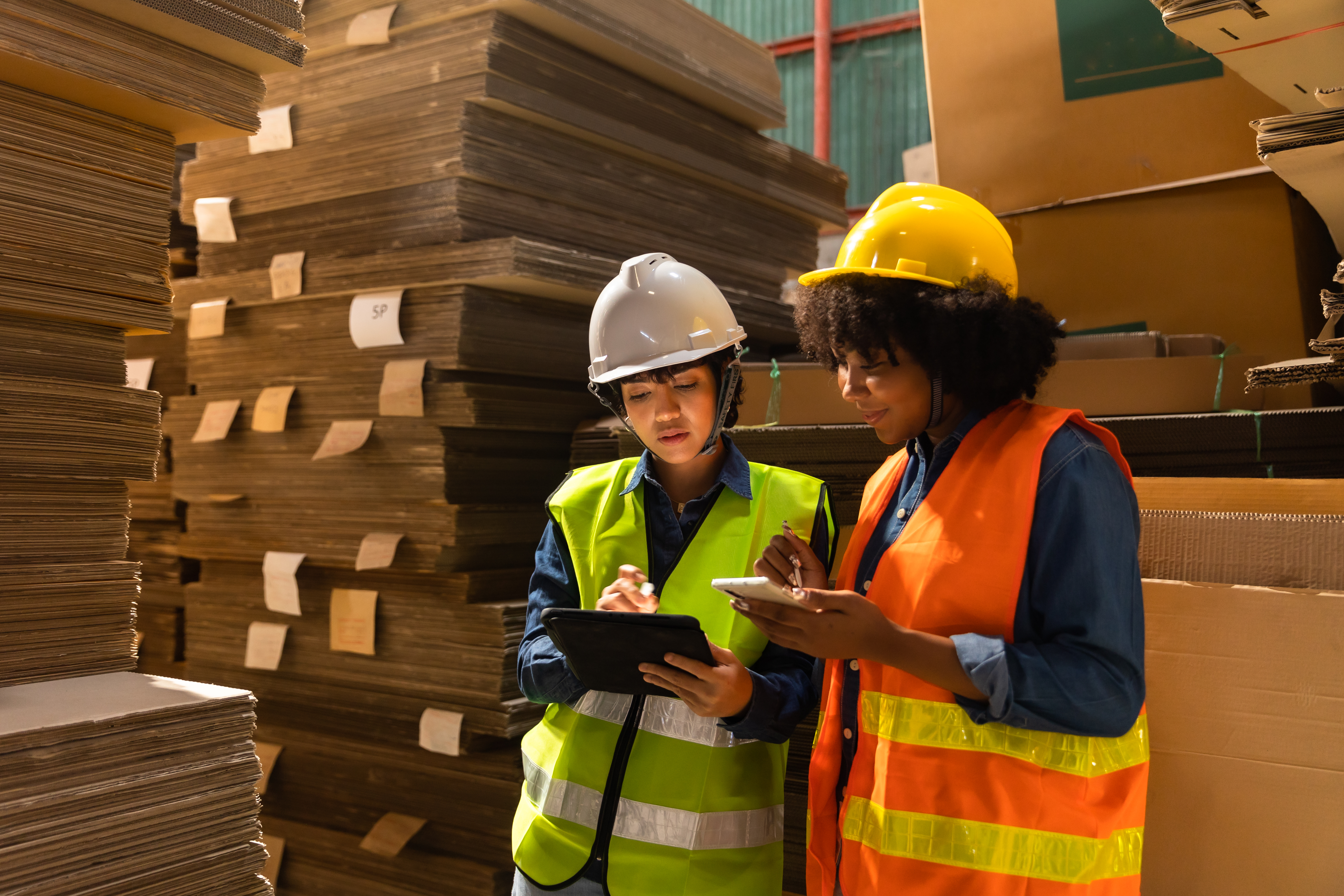 Insights DP World