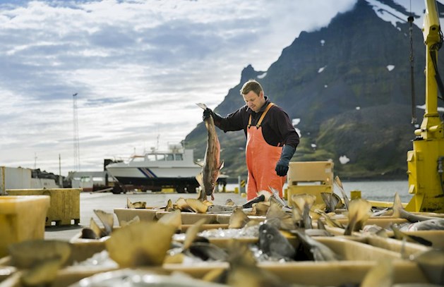 Logistics for perishable goods