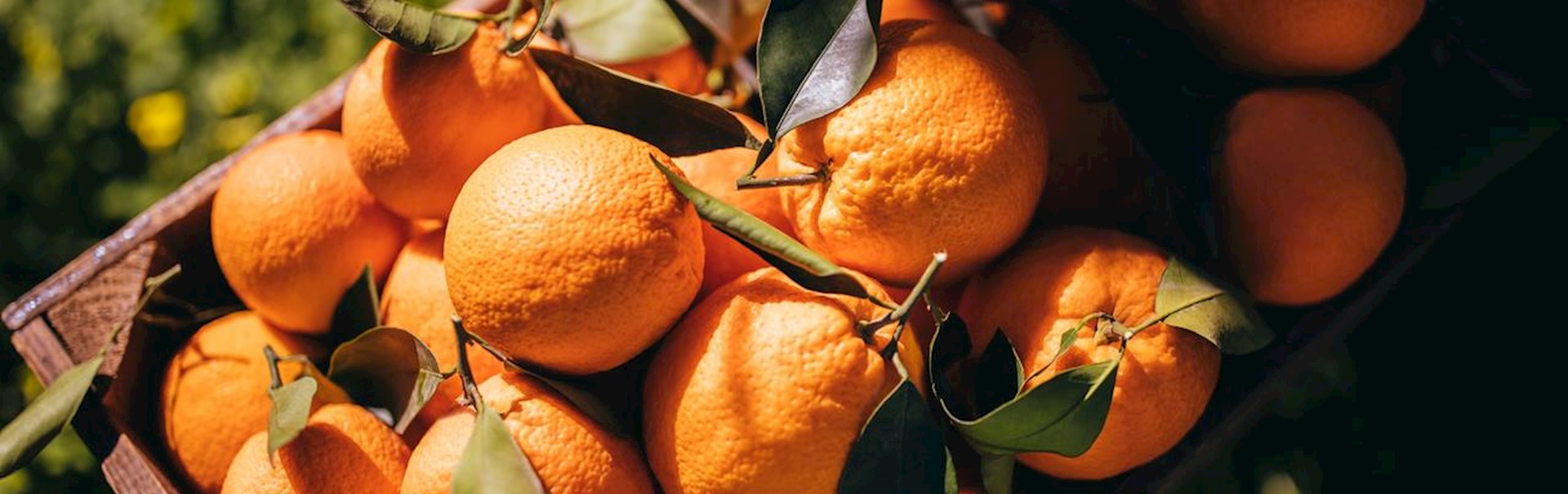 Supply chain solutions for perishable items