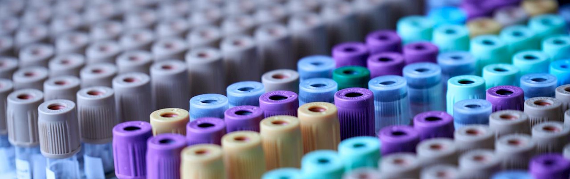 Healthcare and Pharmaceutical DP World