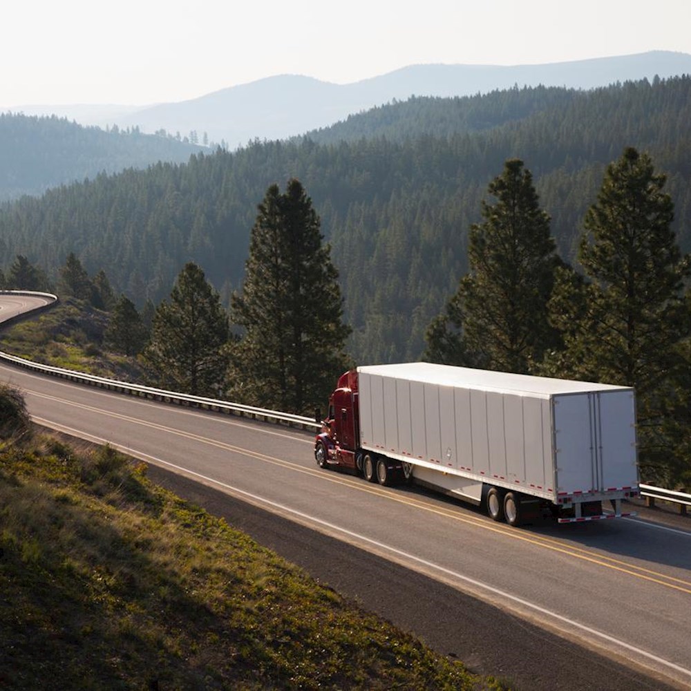 Marketing & Promotion Services