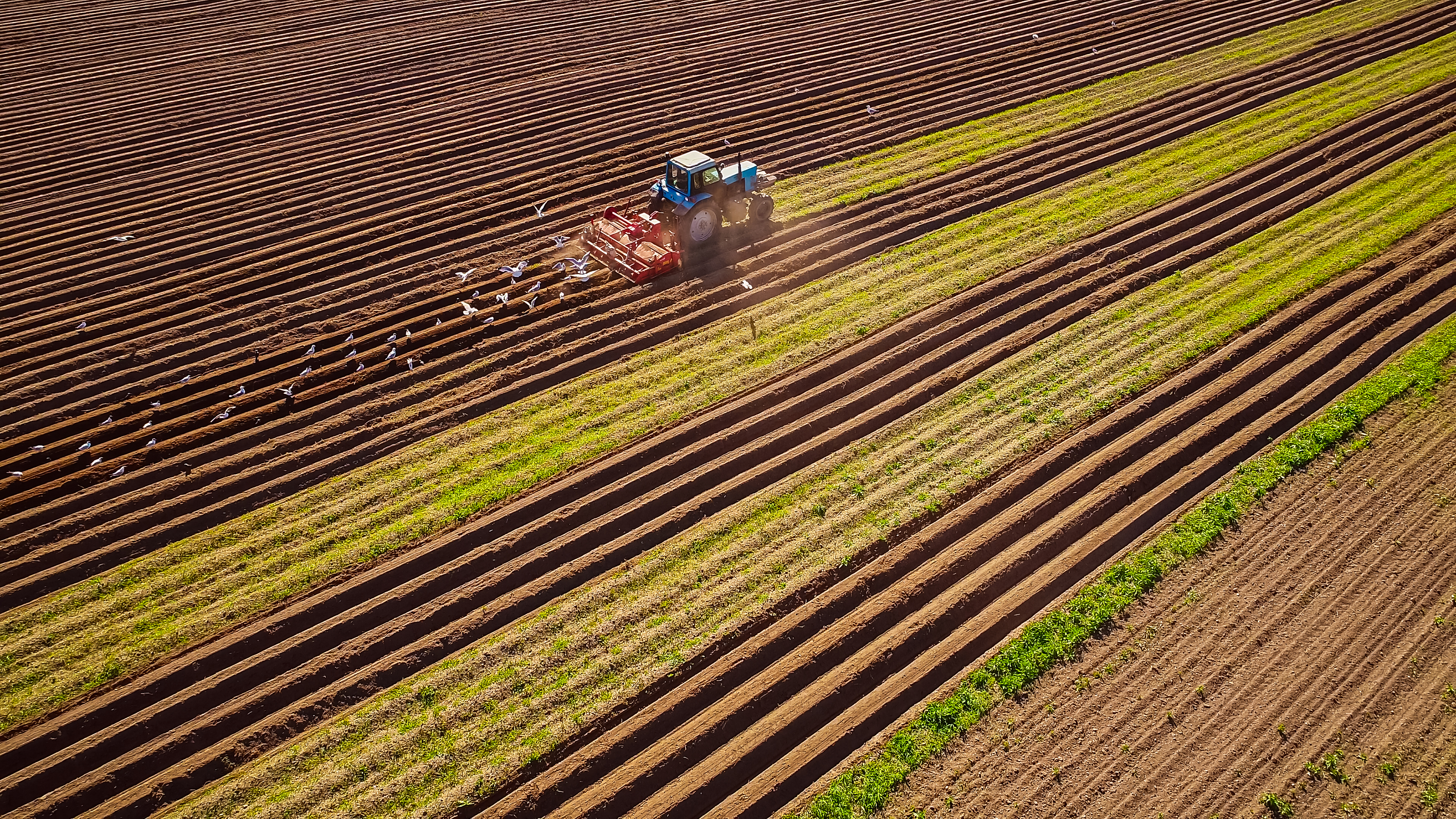 Tractor on a field