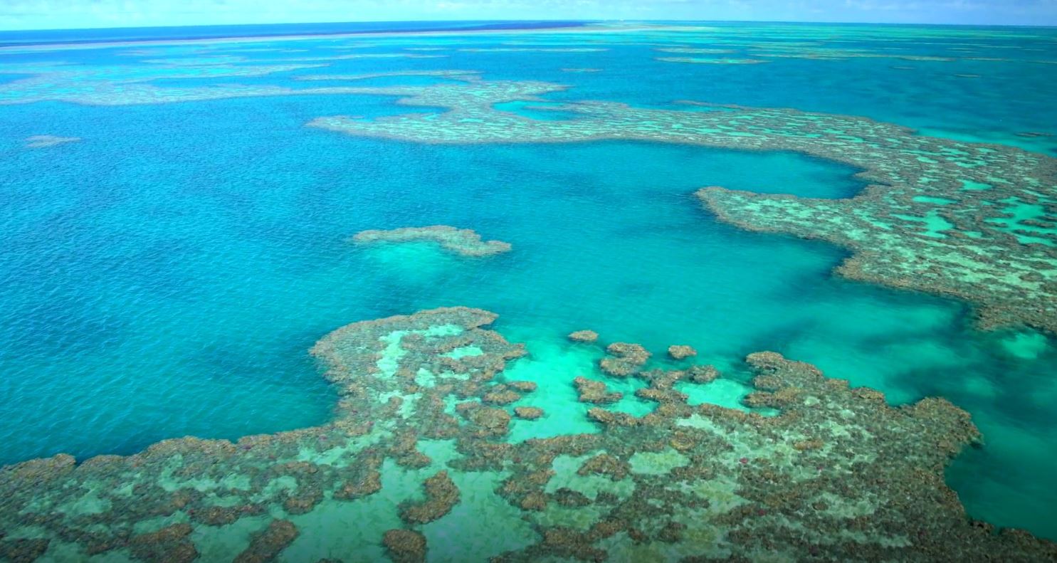 DP WORLD JOINS FORCES WITH REEF RESTORATION FOUNDATION TO SUPPORT THE