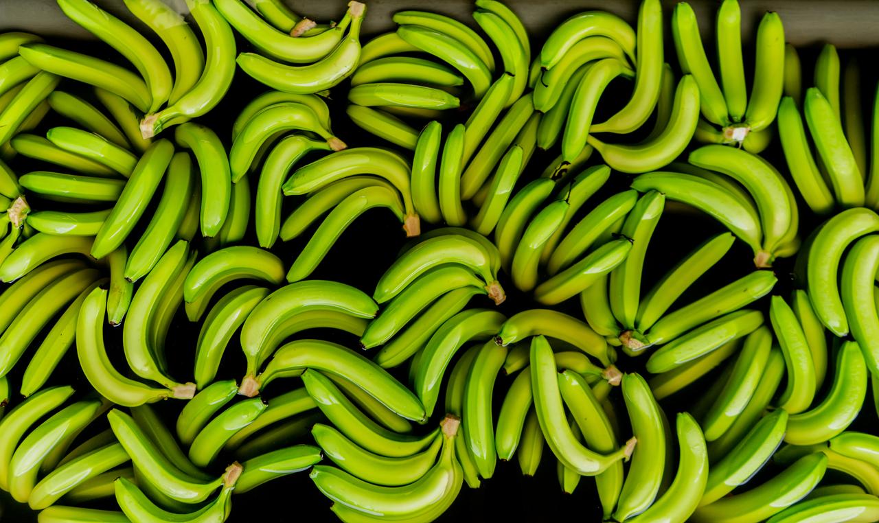 Bunches of bananas